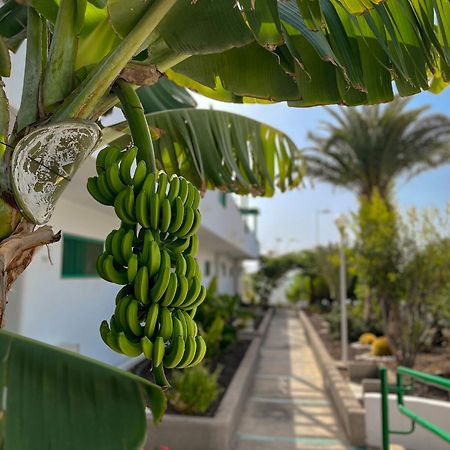 Beautiful Apartment Aguycan Beach 120 Playa Del Aguila Maspalomas  Eksteriør billede