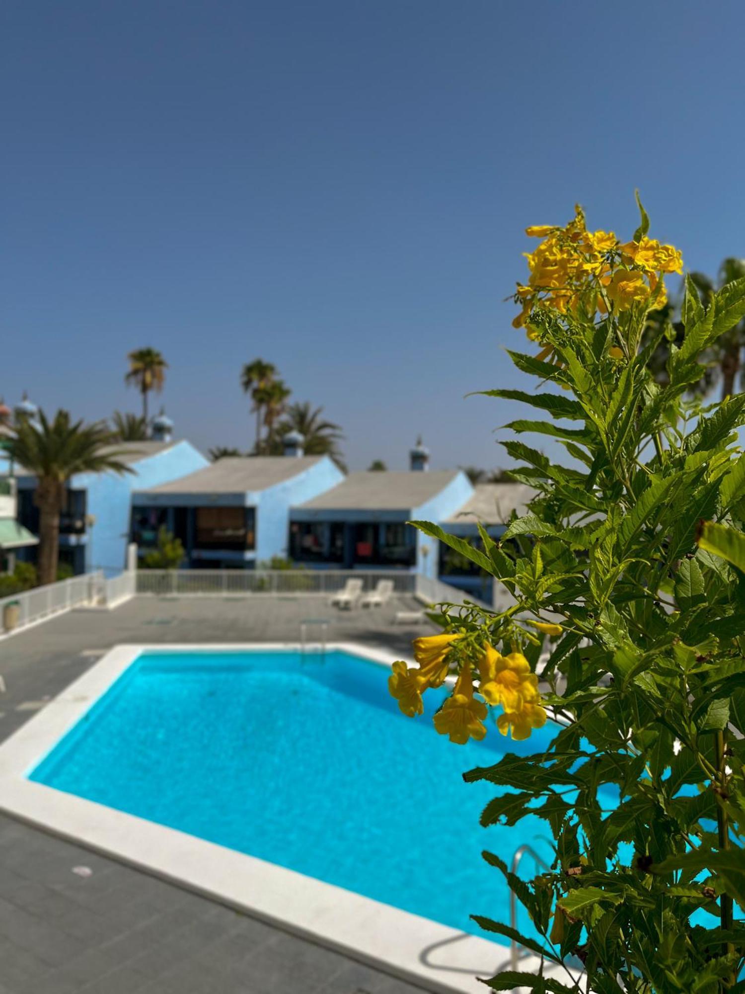 Beautiful Apartment Aguycan Beach 120 Playa Del Aguila Maspalomas  Eksteriør billede